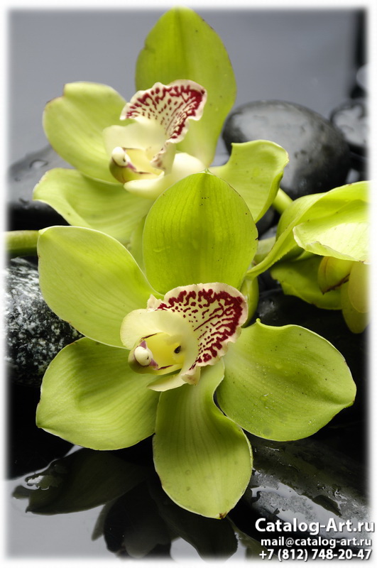 Yellow orchids 27